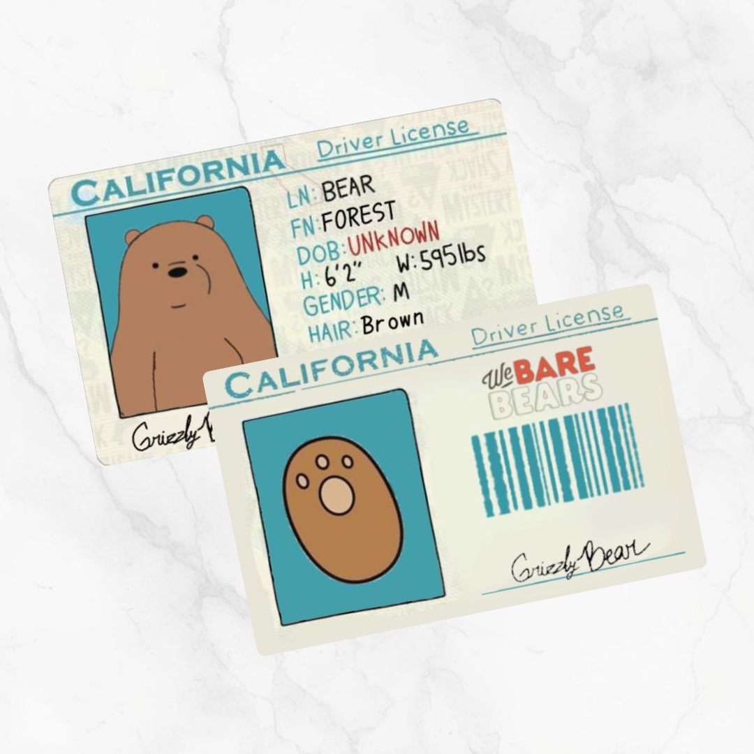 California Driver License Metro Card Skin